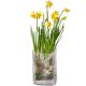 Send Spring-Greeting-incl-vase to Liechtenstein