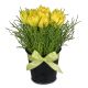 Send Spring-Hit-arrangement to Switzerland