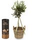 Send Summer-Dream-miniature-olive-tree-with-Gottlieber-cocoa-almonds to Liechtenstein