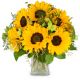 Send Sunflowers-Pure to Switzerland
