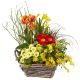 Send Sunny-Easter-Garden-planted to Switzerland
