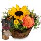 Send Sunny-Kiss-with-Gottlieber-cocoa-almonds-and-hanging-gift-tag-Get-Well-Soon to Switzerland