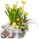 Send Sunny-Spring-Garden-planted-with-Gottlieber-tea-gift-set-and-hanging-gift-tag-Happy-Birthday to Liechtenstein
