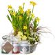 Send Sunny-Spring-Garden-planted-with-Gottlieber-tea-gift-set-and-hanging-gift-tag-Happy-Birthday to Switzerland