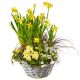 Send Sunny-Spring-Garden-planted to Liechtenstein
