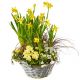 Send Sunny-Spring-Garden-planted to Switzerland