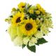 Send Sunshine-Max to Zambia