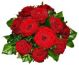 Send Tantalizing-12-Roses to Madagascar