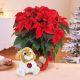 Send Tenerissimo-Natale-Min to Italy