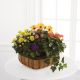 Send The-FTD-Gentle-Blossoms-Basket-Min to Peru
