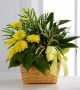 Send The-FTD-Loving-Light-Dishgarden-Min to Panama