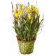 Send Tulips-Unadorned-planted to Liechtenstein