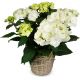 Send Vintage-Charm-white-hydrangea to Liechtenstein