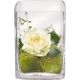 Send Warm-Greetings-including-vase to Liechtenstein